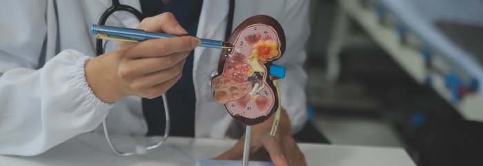 Nephrology Department